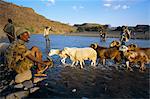 Bergers et troupeau traversant la rivière, Terari Wenz, Wollo, Ethiopie, Afrique
