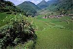 Rice fields near the Ifugao village of Banga-An,northern area,island of Luzon,Philippines,Southeast Asia,Asia