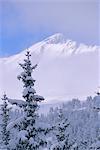 Winter in den französischen Alpen, Rhône-Alpes, Frankreich