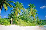 Beach,Mahe,Seychelles