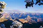 Grand Canyon,Arizona,United States of America