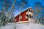 Maison rouge près de Evje, Norvège