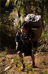 Cat Cat Village hiking trail,Sapa,Northern Vietnam,Southeast Asia,Asia