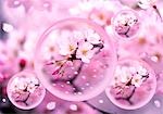 Blossoms in spheres