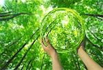 Hands holding sphere in forest