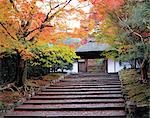 Bâtiment japonais traditionnel en automne