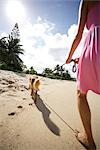 Junge Frau nimmt einen Hund für einen Spaziergang am Strand