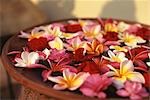 Assorted flowers on water