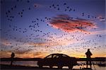 Two photographers taking photographs of birds flying overhead