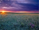 Coucher de soleil dans l'horizon au champ ciel violet