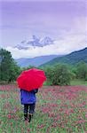 Person standing in field of pink flowers looking at mountain