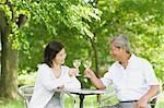 Older Couple Drinking Wine