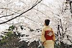 Frau im Kimono unter Kirschbaum Blüte stehende