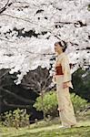 Femme regardant cerise fleur fleurs