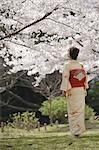 Frau stehend unter Blossom Kirschenbaum