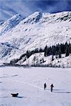 Zwei Skifahrer und einen Hund