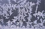 Frozen ice crystals
