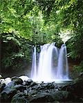 Préfecture de Tochigi, chute d'eau de la jeune fille