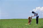 Hund und Frau im Feld