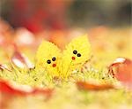 Zwei gelbe Herbst Blätter mit Gesichtern