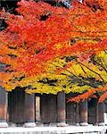 Herbst-Szene mit rote Blätter