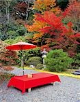 Herbst-Szene mit roten Blättern und roten Regenschirm