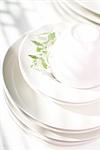 White Tableware With Mint Leaves