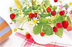 Wilde Erdbeeren und Juneberries In einem Topf
