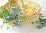 Blue Flowers In A Basket