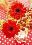 Red Flowers In A Glass