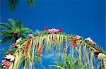 Arch Decorated With Tropical Flowers