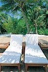 Beach Chairs With Palm Trees In The Background