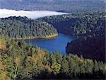 Calm Forest River