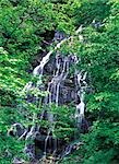 Wasserfall im Wald