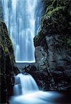 Waterfall in Forest