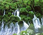 Préfecture d'Akita, cascade d'eau fraîche