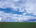 Feld und Wolken