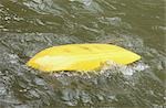 Capsized Kayaker