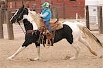 Horse Riding girl