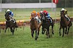 Groupe de chevaux de course