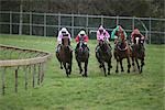 Group of horses racing