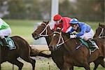 Jockey et course de chevaux