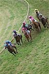 Groupe de chevaux de course