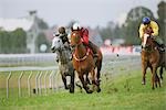 Group of horses racing