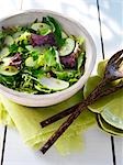 Mixed Lettuce Salad With Green Apples, Pumpkin Seeds and Cucumber