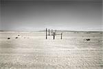 Salt Flat, Texas, USA