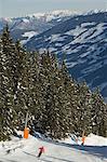 Skier, Mayrhofen ski resort, Zillertal Valley, Austrian Tyrol, Austria, Europe