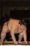 Sumo-Ringer im Wettbewerb, Grand Taikai Sumo Wrestling Turnier, Kokugikan Hall Stadium, Ryogoku Bezirk, Tokio, Japan, Asien