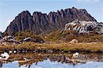 Peaks of Cradle Mountain, 1545m, reflected in tarn on the Overland Track, Cradle Mountain Lake St. Clair National Park, part of Tasmanian Wilderness, UNESCO World Heritage Site, Tasmania, Australia, Pacific