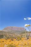 Ouest du mont Pélion sur la partie de l'Overland Track, Cradle Mountain Lake St. Clair Parc National, de nature sauvage de Tasmanie, UNESCO World Heritage Site, Tasmanie, Australie, Pacifique